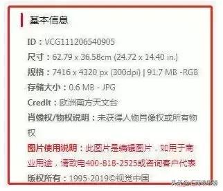 樊振东面对罚款文件，迅速反应与责任担当