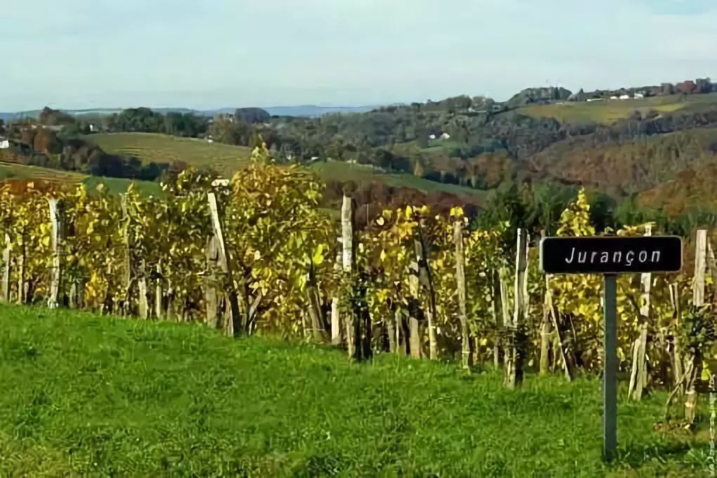 法国共有十二大著名的葡萄酒产区,分别是波尔多(bordeaux,罗讷河谷