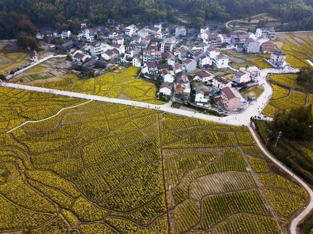 群山怀抱,气候温润,土壤肥沃,有清真禅寺,陈宅古村,百丈漷瀑布等景点