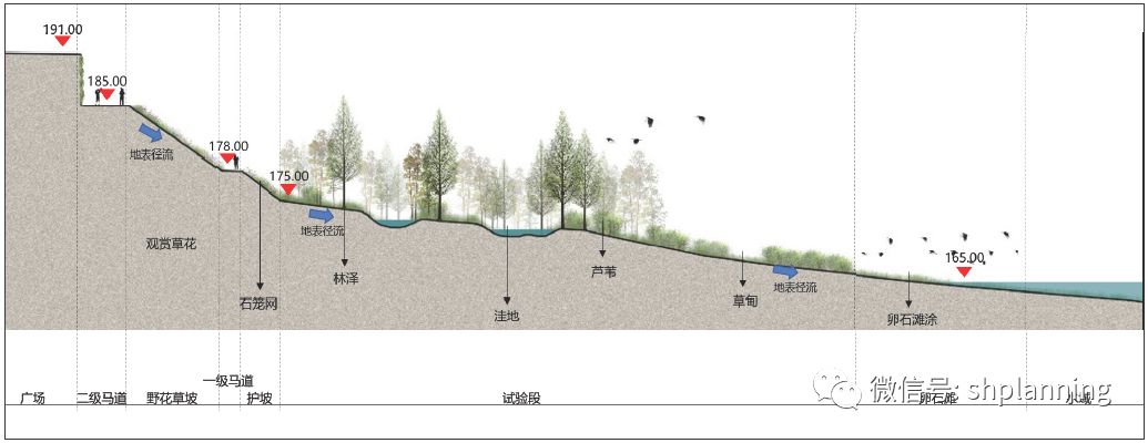 三峡库区城市滨江消落带生态修复与景观优化示范研究