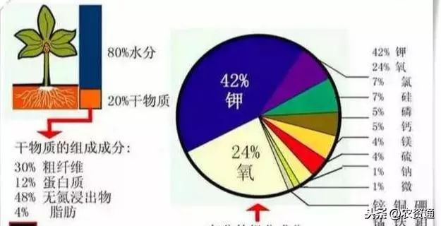 微量元素肥料与钮子开关图片