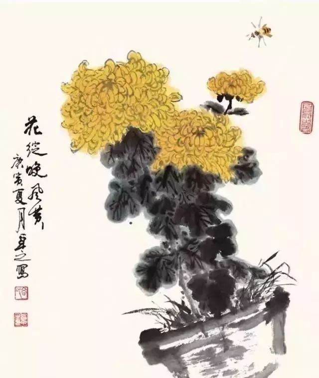 一学就会:名家教你画菊花!