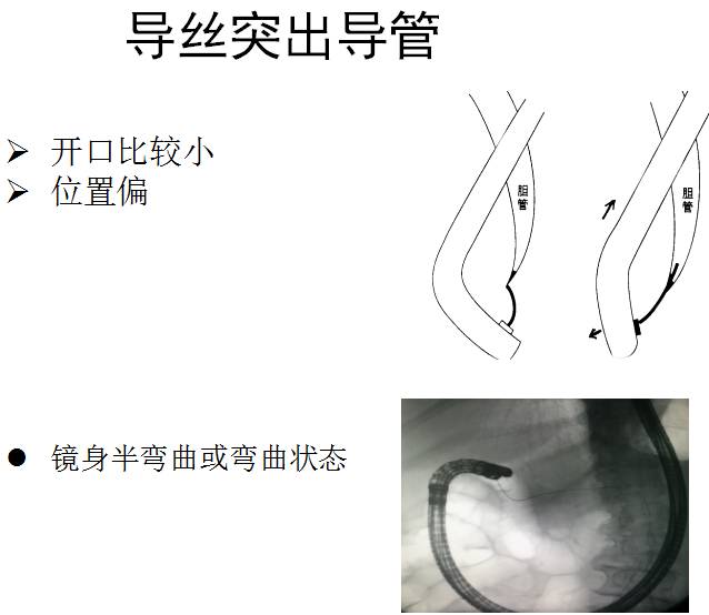 白毛女插曲全部歌曲谱