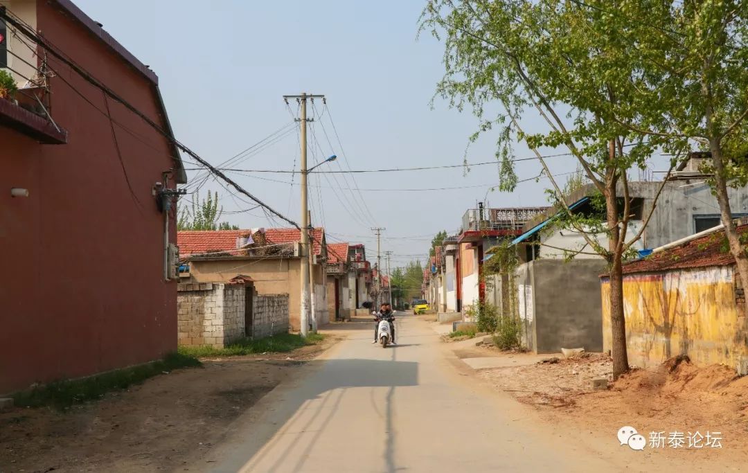 新泰宫里石泉村多少人口_临沂石泉村风景区