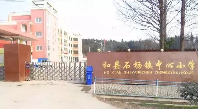 和县也有两所中学上榜啦 那就是" 石杨镇中心小学"和" 和县三中" 市