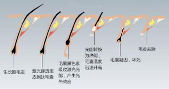 颜料长毛怎么办