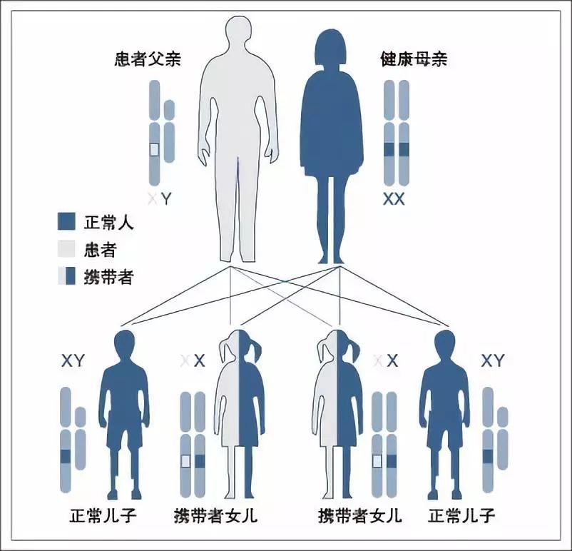 高血糖的原理是什么呢_高血糖吃什么食物好(3)