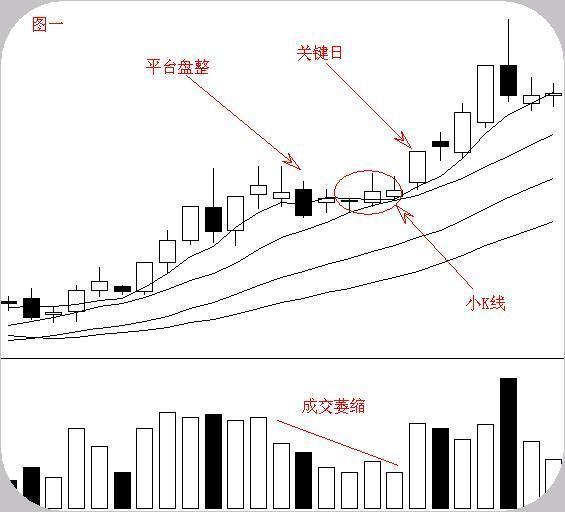 一个人口总体的特征_人口与人种 课件