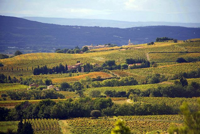 法国共有十二大著名的葡萄酒产区,分别是波尔多(bordeaux,罗讷河谷