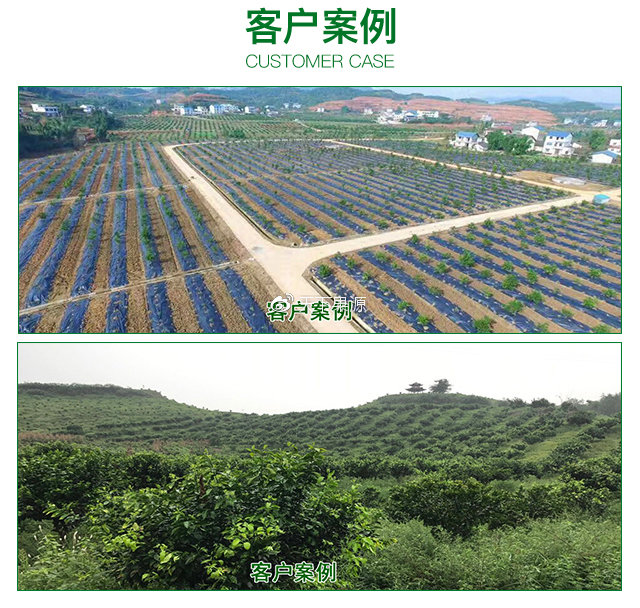 果树苗供应|量大价优|基地直发|黄冈市伟灿苗木有限公司