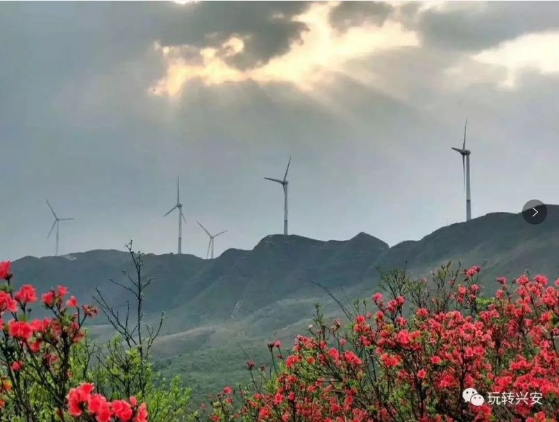 【摩天岭赏花】4月20日 5月1日赏摩天岭杜鹃花,瀑布,观雄伟壮观大风车