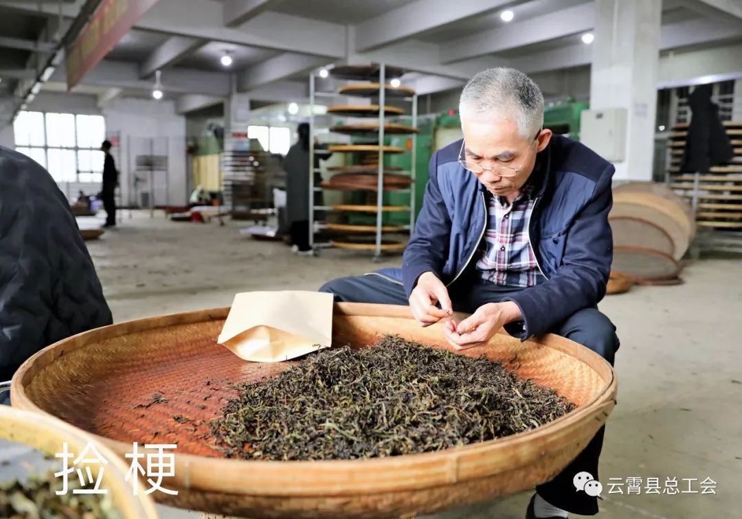 茶的制作过程:采摘茶树的嫩芽或新叶当原料,经过一连串的程序制作而成