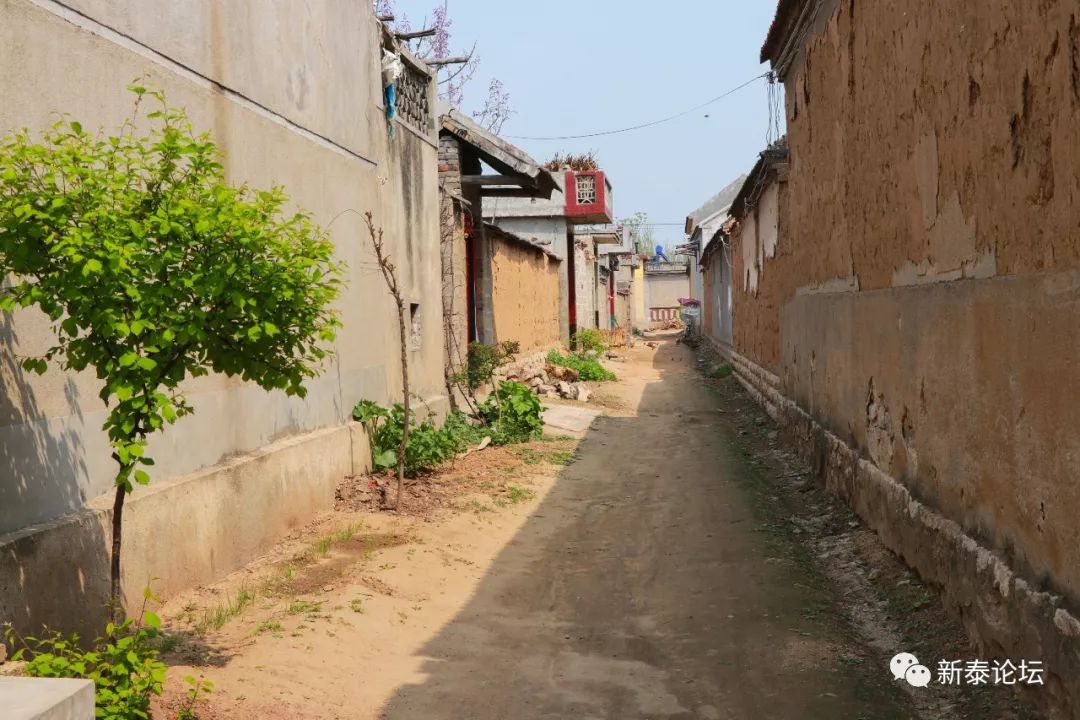 新泰宫里石泉村多少人口_临沂石泉村风景区