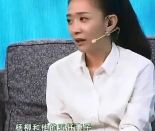 央视著名主持人杨柳向法院提起诉讼:我什么时候有过五