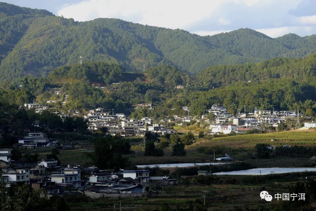 宁洱乡村游第八期温泉村丨草长莺飞日光倾城春风十里不如你