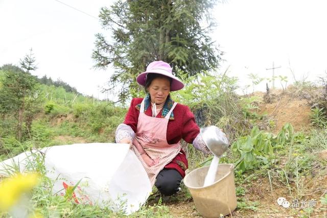 长顺有多少人口_广黔同心携手同行 越秀携手贵州长顺实现精准扶贫(2)