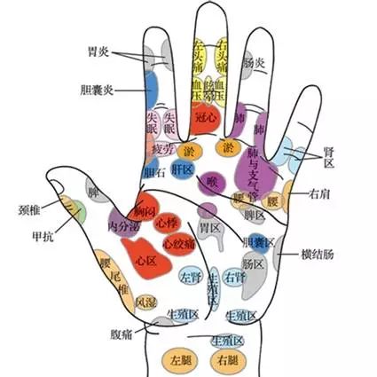 快治人口后面是什么_脍炙人口的炙是什么意思