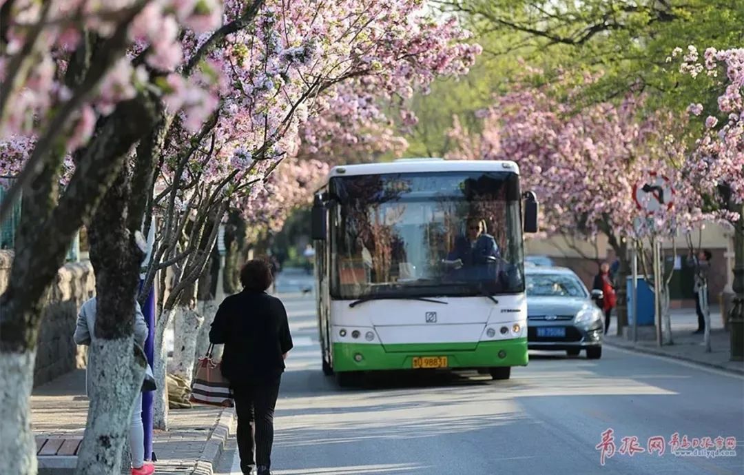 4月21日起,青岛公交线路有重要调整!