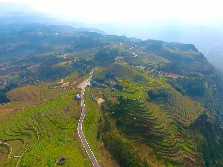 綦江区城区人口_綦江区城区图片(3)