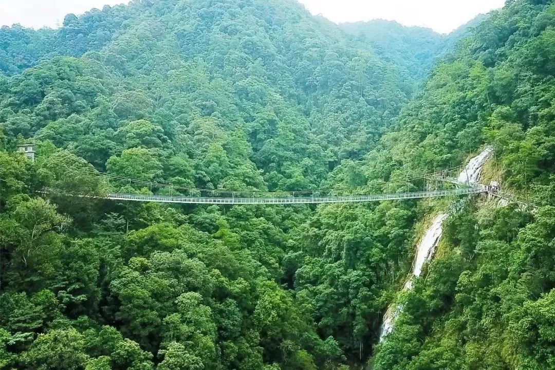 观水幕玻璃栈道,玩树上穿越,逛瑶畲风情园,周末出游就