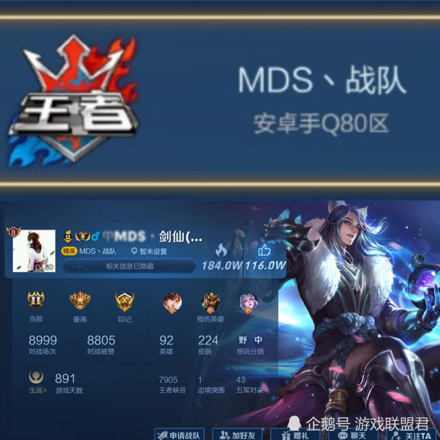 mds战队