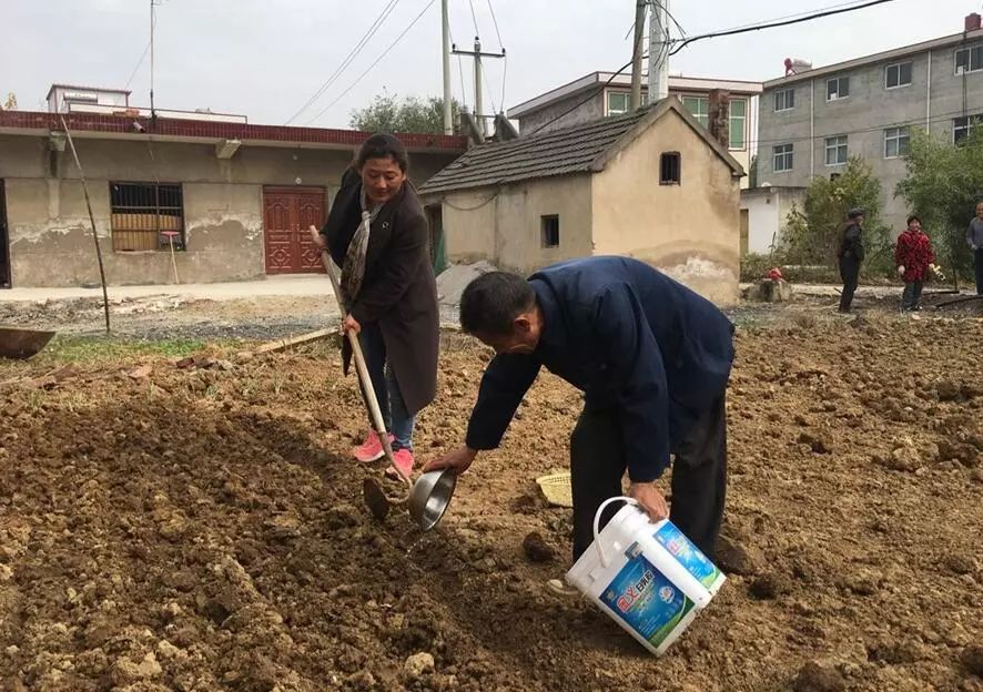 许克素帮助许圣杰干农活