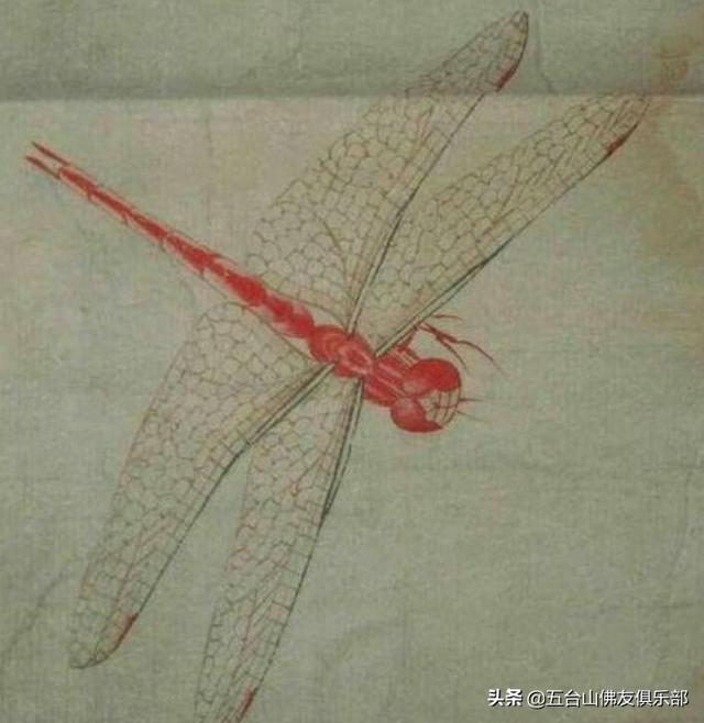 而齐白石又是一名画《蝉》的高手,他画的蝉就曾卖过上亿元,画的红蜻蜓