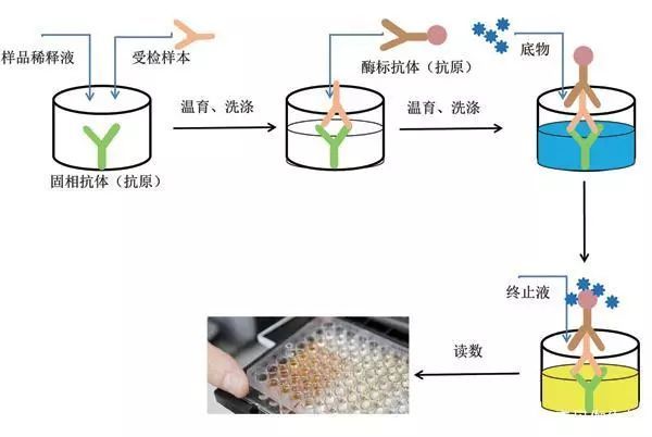 双洗条什么原理_幸福是什么图片(3)