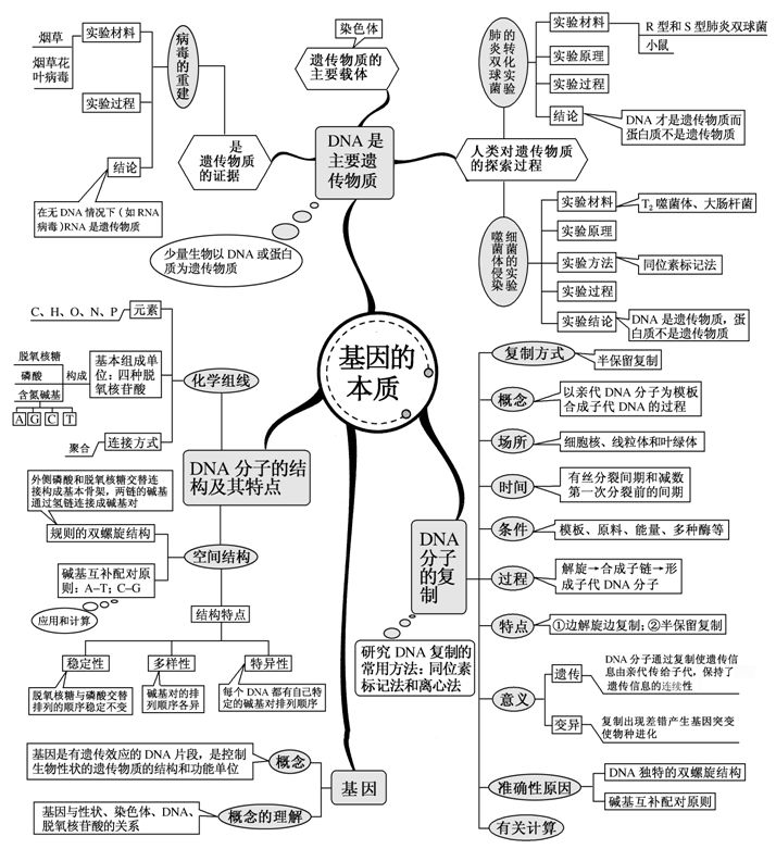 高中生物全套思维导图共20张