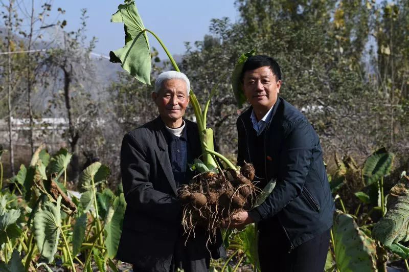 平邑县经济总量2019_平邑县地图(2)