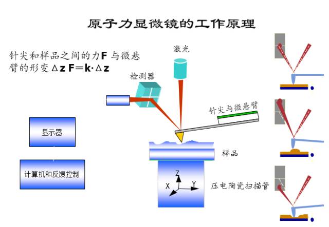 afm基本原理是什么_幸福是什么图片