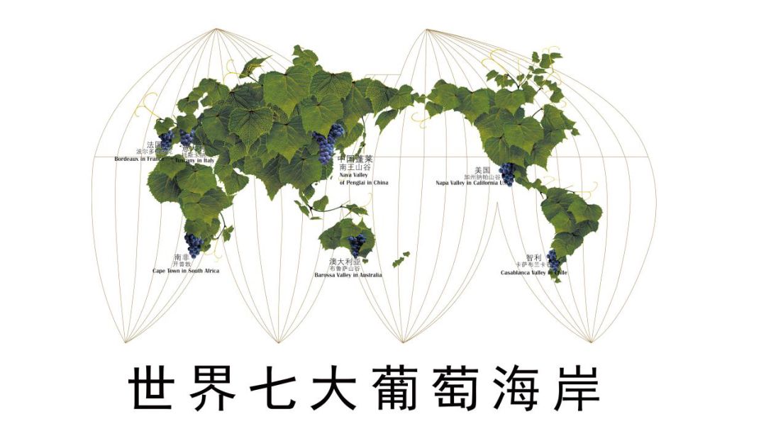 产区巡礼丨令拉菲青睐的中国葡萄酒产区——山东蓬莱