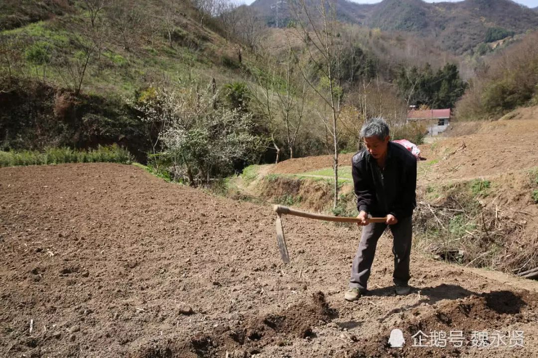 干活总人口_工地干活图片(2)