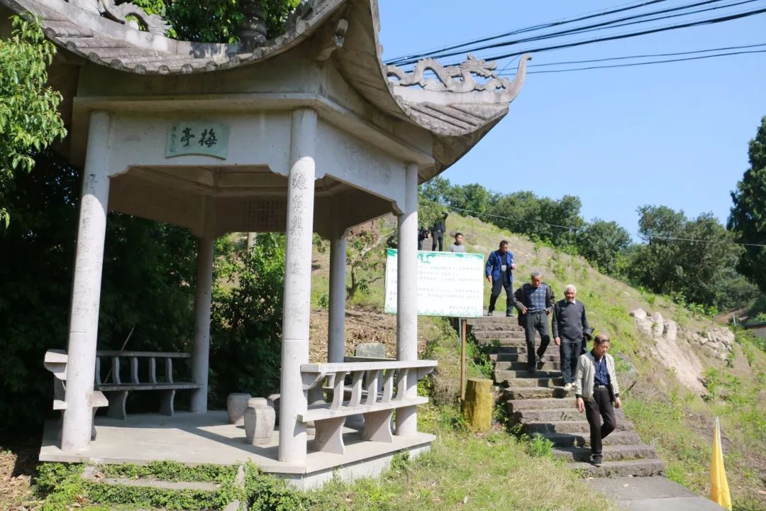 梅魁村人口