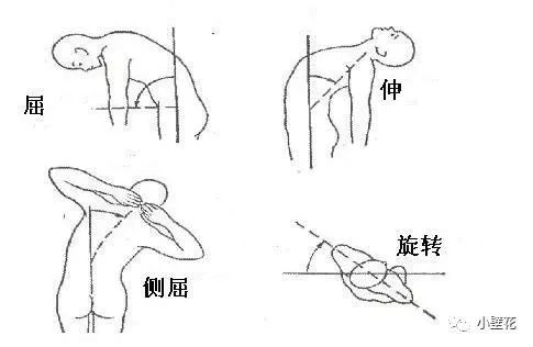 腰椎的功能有:屈,伸,侧屈,旋转3-常见的腰椎病变情况是腰骨骶化是指