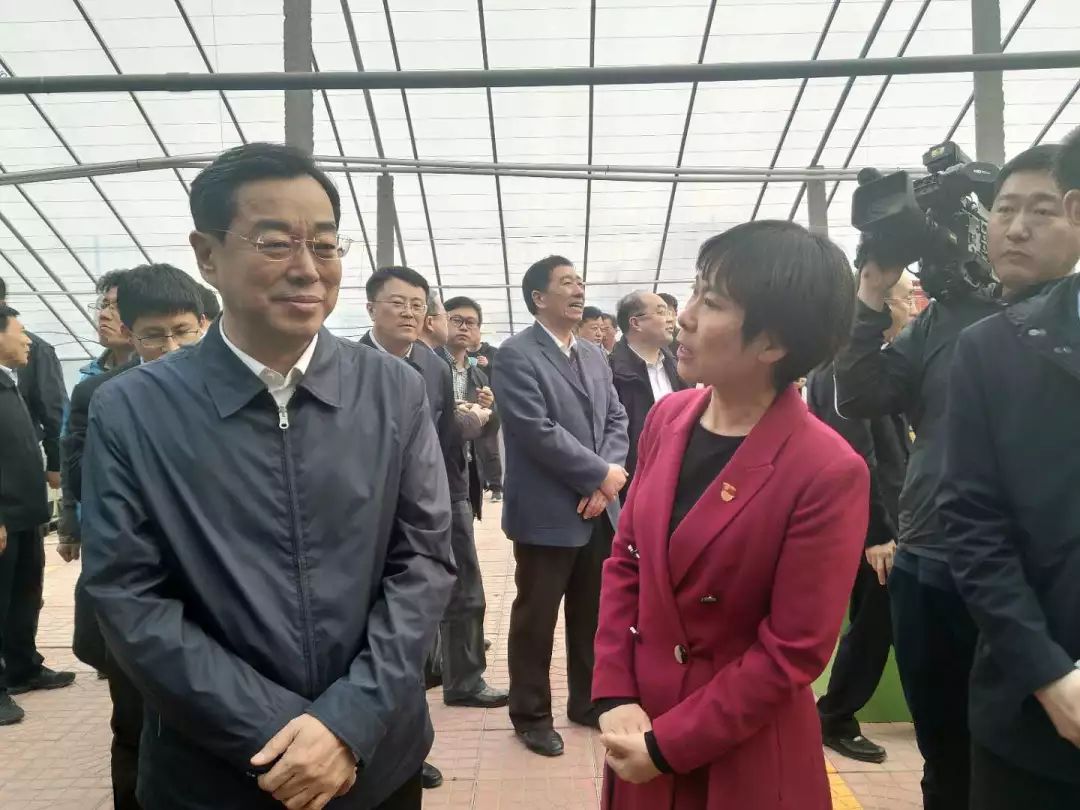 省委副书记杨东奇,副省长于国安到田柳镇调研灾后重建