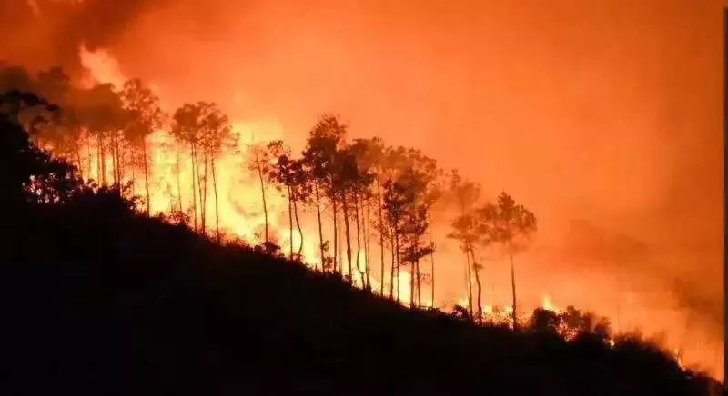 云南多地突发山火,正全力进行扑救