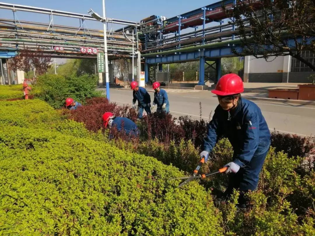 加强绿化养护美化厂区环境