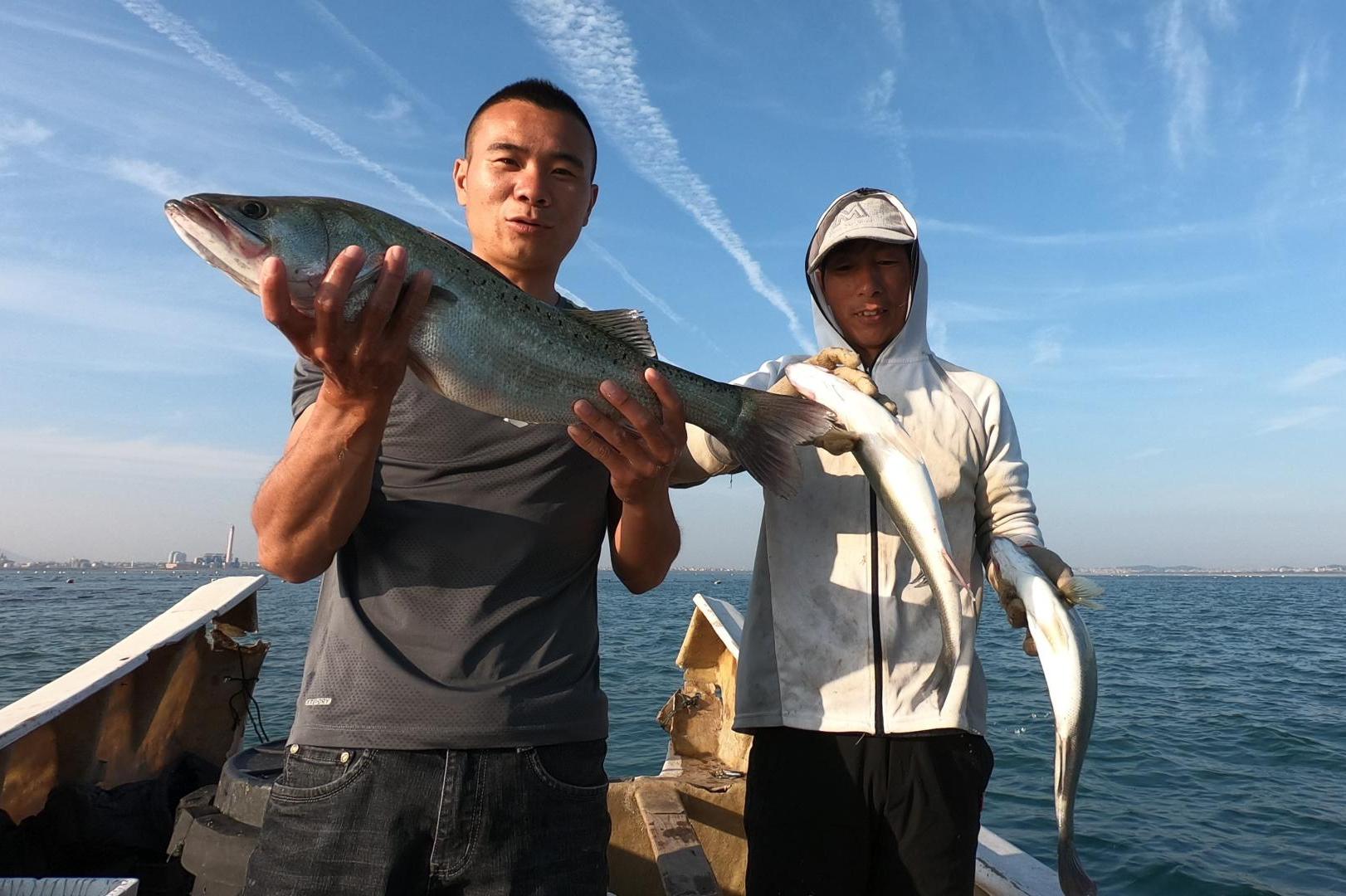 海上不少钓鲈鱼的船,阿烽赶紧把船靠过去,这边鲈鱼真不少