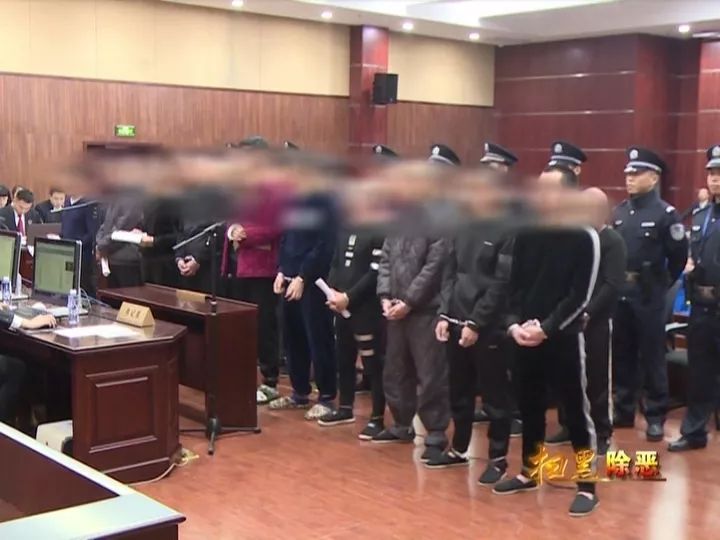 苍南县法院宣判一起黑社会性质组织犯罪案"老大"白某某获刑20年