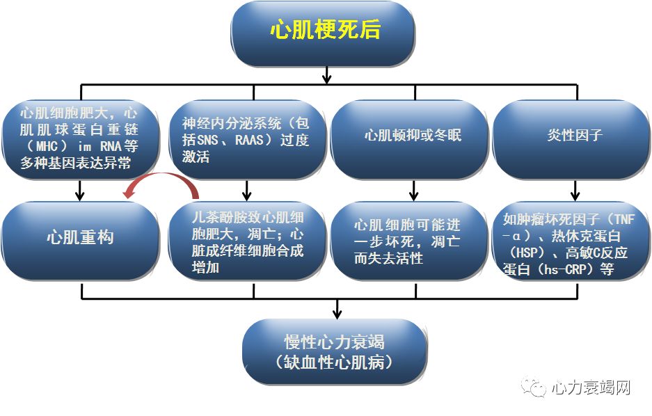 心肌梗塞搭桥的原理_3、讨论   溶栓、经皮冠状动脉介入治疗(pci)、冠状动脉搭桥术等方法广泛