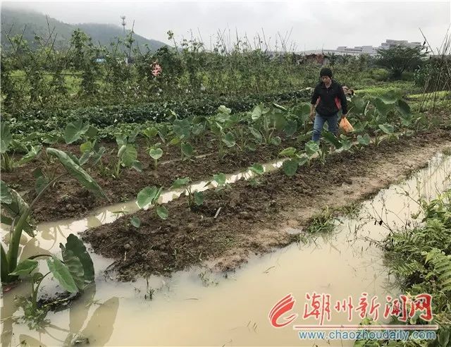 暴雨来袭!潮州启动多个应急响应和预警信号