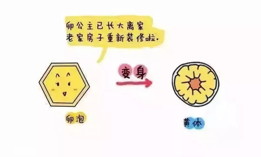 黄体破裂是怎么回事（黄体破裂是怎么回事严重吗）