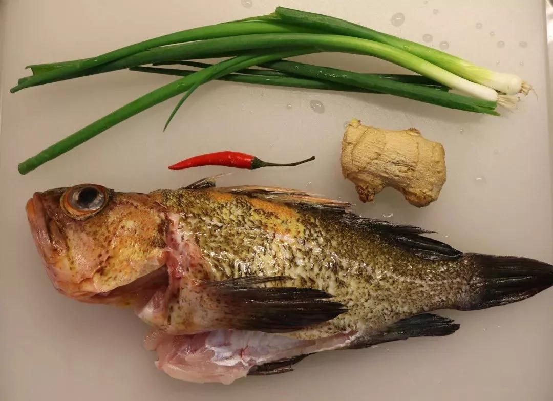 清蒸石斑鱼怎么做好吃?