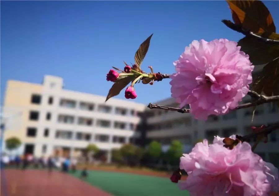 平阳一大波校花照片流出