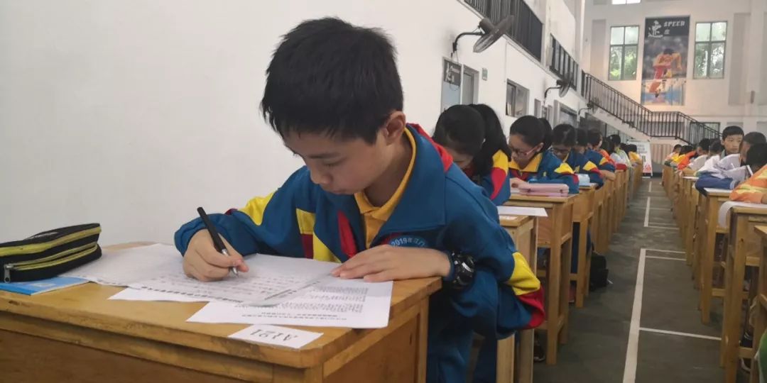 江门市首届小学生现场写作大会(鹤山赛区)考题“雁南飞”,这两