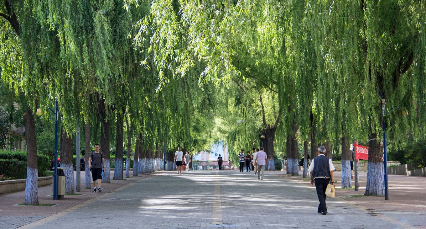 百年历史名校浓厚的学术氛围,最初却是俄语教学_哈工大