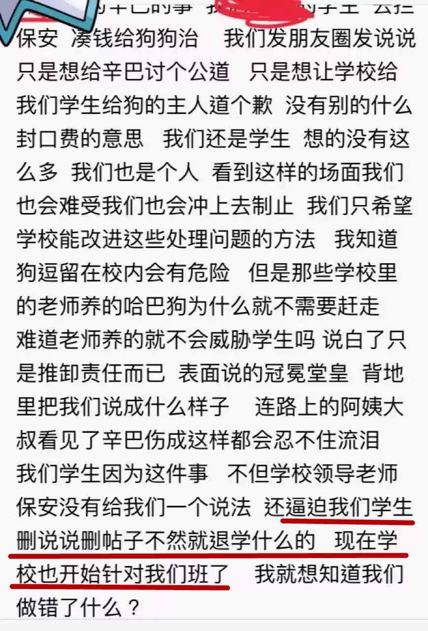 金毛因思念主人跑去学校却惨遭毒手！学校的做法让人心寒