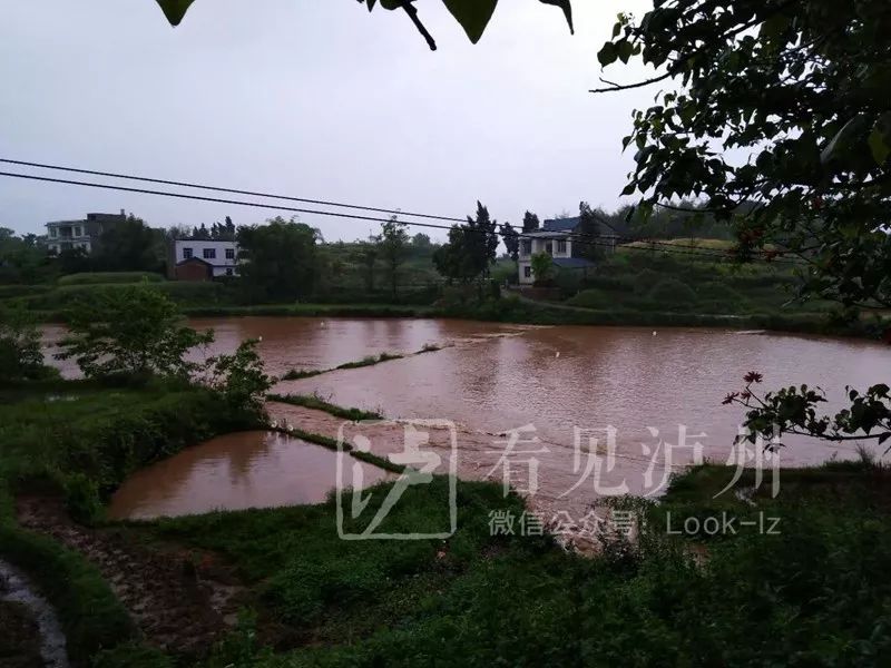 山体滑坡房屋受损丨泸县立石镇村民合力抢险