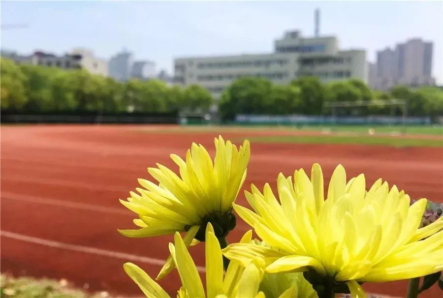 平阳一大波校花照片流出